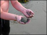 w07AlexAshleyOB_07.JPG