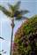 D20_4991.JPG