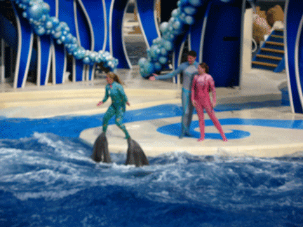 w09SeaWorldOrlando_2