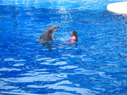 w09SeaWorldOrlando_9