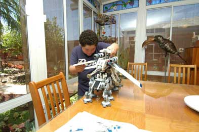 wAlexLegos_12