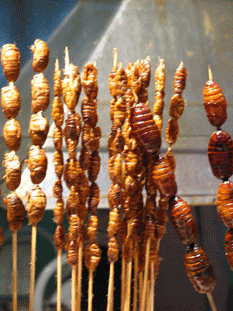 06ChinaBeijing_59