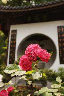 029_Hangzhou