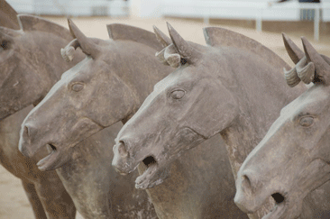 TerraCottaWarriors_23