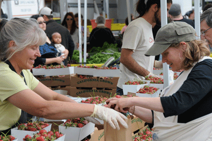w09NeenFarmersMarket_2769