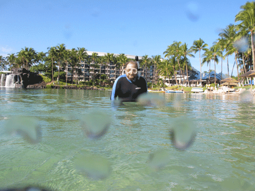 10hawaii_ahiltonlagoon_02