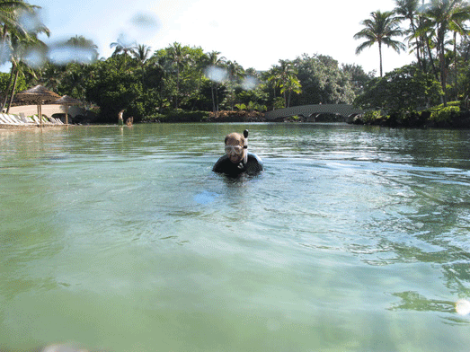 10hawaii_ahiltonlagoon_07