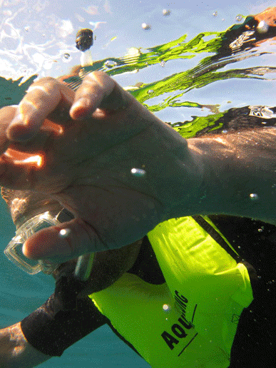 10hawaii_diveboat02