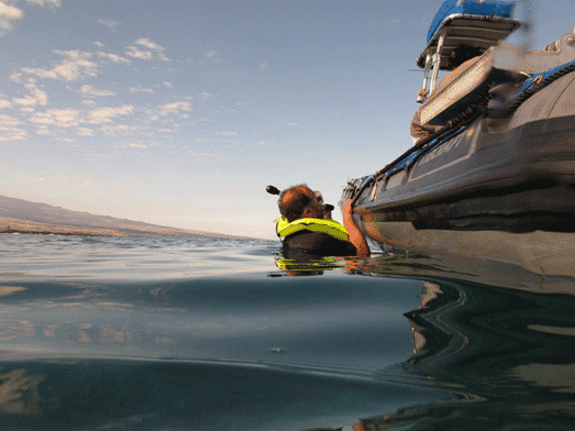 10hawaii_diveboat05
