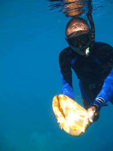 10hawaii_diveboat18