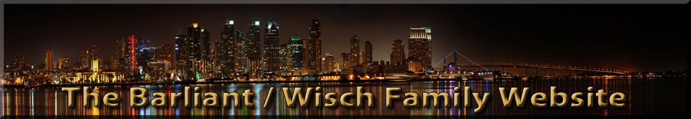 Barliant Wisch Website Header