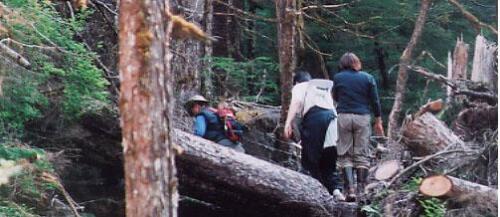 ForestGirls1